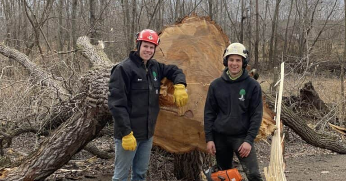 Tree Trim Services Near Me