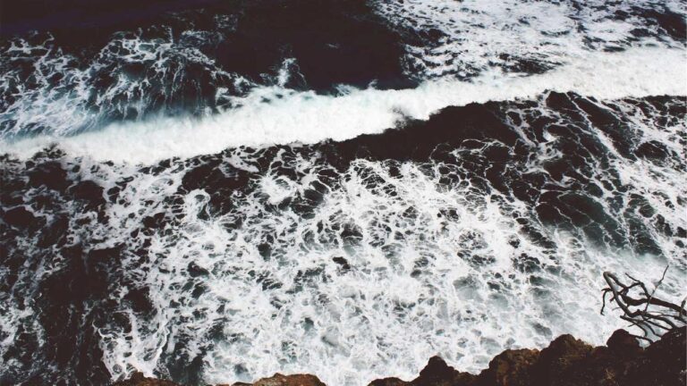 How To Sign In Using 11Xplay Pro New Id Login?